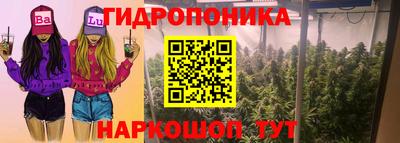 прущая мука Канаш