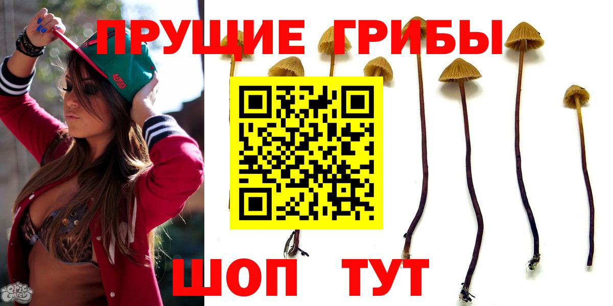 Псилоцибиновые грибы Psilocybe  Вход с VPN  Псилоцибиновые грибы мицелий  где найти   Кувандык 